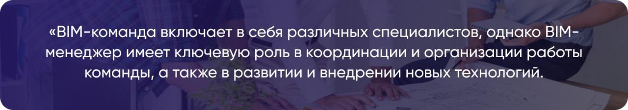 BIM-команда включает в себя различных специалистов, однако BIM-менеджер имеет ключевую роль